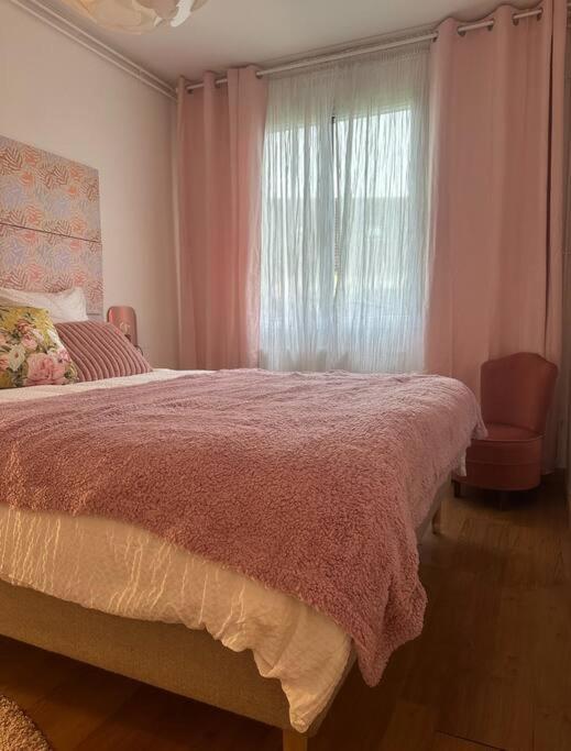 Charmante Maison 10 Mn Center Parcs Ailette 랑 외부 사진